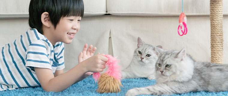 Petit garçon avec ses chats
